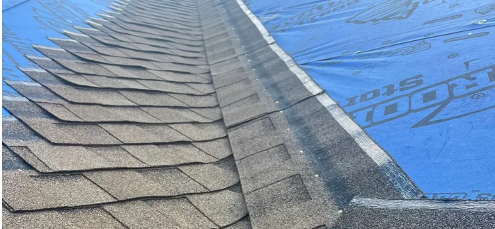 Team Members Image 1